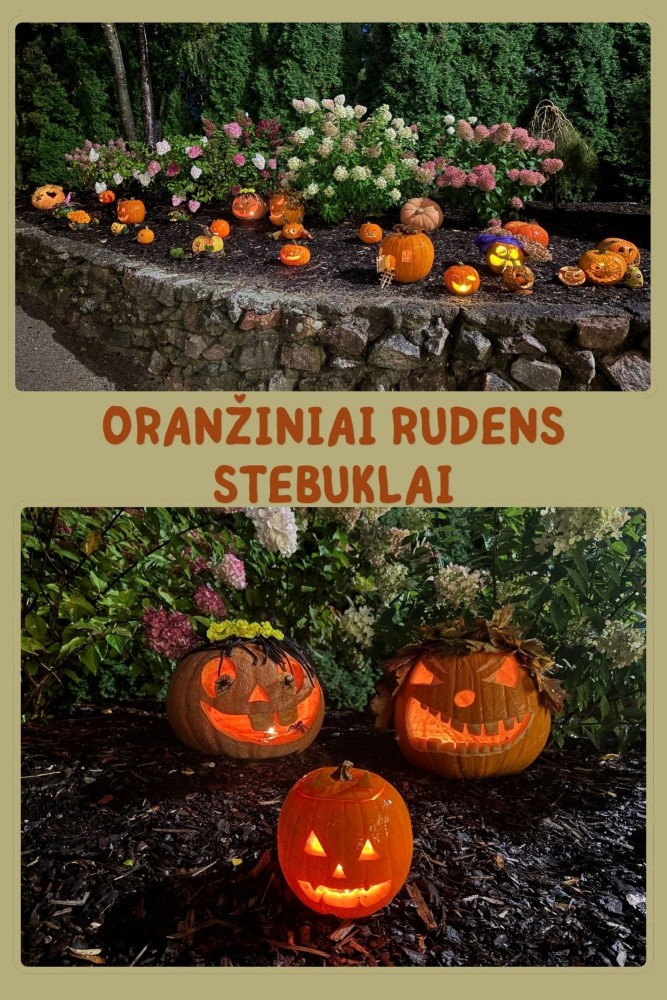 „Oranžiniai rudens stebuklai“